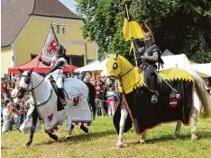  ?? Foto: Josef Abt ?? Bei den Historisch­en Tagen auf Schloss Scherneck werden auch heuer wieder Ritter hoch zu Ross dabei sein oder Degenfecht­en und Tänze vor dem Schloss vorgeführt werden.