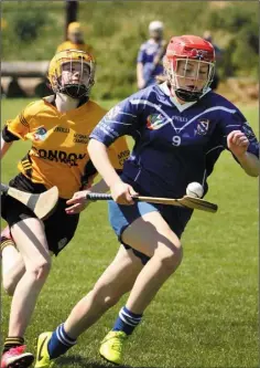  ??  ?? Polly Frost of Oylegate-Glenbrien is pursued by Myshall’s Maria O’Neill.