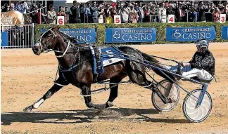  ?? PHOTO: JOSEPH JOHNSON/STUFF ?? Lazarus seems destined to win his second New Zealand Trotting Cup.