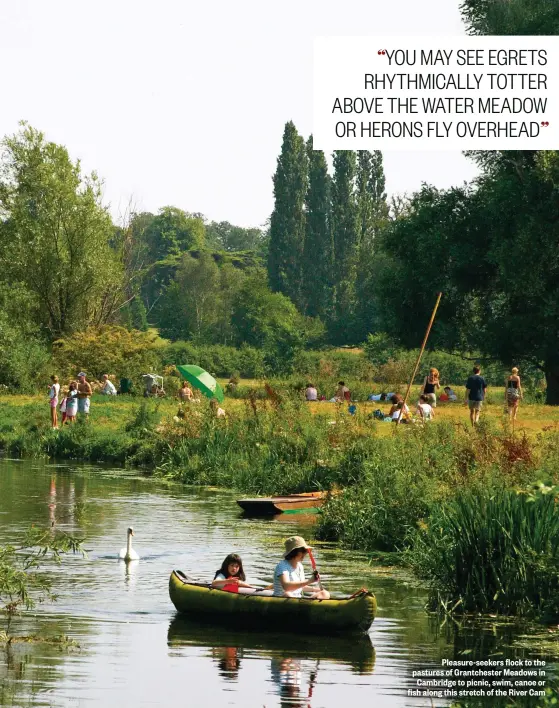  ??  ?? Pleasure-seekers flock to the pastures of Grantchest­er Meadows in Cambridge to picnic, swim, canoe or fish along this stretch of the River Cam
