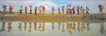  ?? REUTERS ?? Rohingya refugees walk along an embankment next to paddy fields in Palang Khali, near Cox's Bazar, Bangladesh.