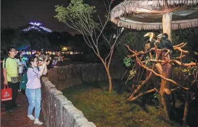  ?? PROVIDED TO CHINA DAILY ?? Visitors enjoy a night safari at Shanghai Wild Animal Park on Aug 5.