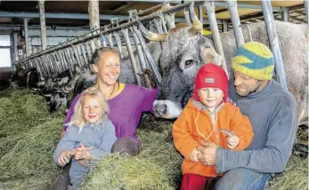  ?? BILD: SN/CHRISTINE DIETHARD ?? Yvonne und Andreas Roider aus Seekirchen halten Tiroler Grauvieh und ziehen Kälber groß, obwohl sie Milch produziere­n.