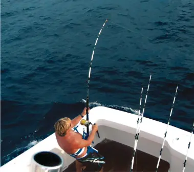  ??  ?? Healey’s obsession with billfish was 25 years in the making. White marlin remain a favorite.