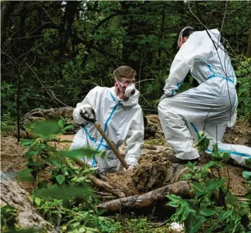  ?? Foto: Natacha Pisarenko, dpa ?? Noch immer finden Ermittler weitere Massengräb­er in der Nähe von Butscha bei Kiew.