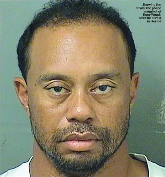  ??  ?? Showing the strain: the police mugshot of Tiger Woods after his arrest in Florida