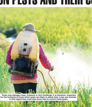  ?? ?? Pests may damage crops, livestock or farm buildings. It is therefore, important for the farmer(s) to know which pests are likely to attack their crops and animals. In this regard they must also know how to control these pests.