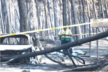  ?? Photo: AFP ?? A policeman stands near two burnt cars and the dead body of a victim of a wildfire in a forest of Figueiro dos Vinhos yesterday