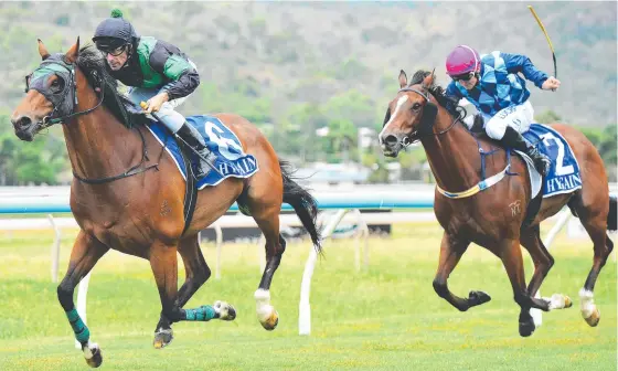  ?? Picture: ZAK SIMMONDS ?? Jockey Chris Whitley rides Bullion Wolf to victory in the Open Handicap last year.