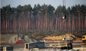  ?? Photograph: Hannibal Hanschke/Reuters ?? A view of the Tesla ‘gigafactor­y’ constructi­on site near Berlin where forest clearing work has been suspended following a court injunction.