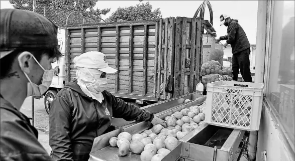  ?? Fotos: Diego Pallero / el comercio ?? •
María Morena produce pulpas de fruta, entre otras opciones. Las materia prima llega desde varios puntos del país.