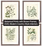  ??  ?? Botanical Prints with Brown Frames, £120, Modern Country Style Interiors