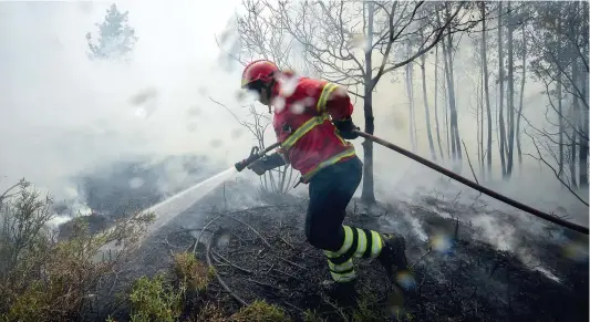  ?? PHOTO AFP ?? Dans l’ensemble du Portugal, 1500 pompiers étaient toujours engagés hier soir sur plus d’une centaine de foyers incendiair­es.