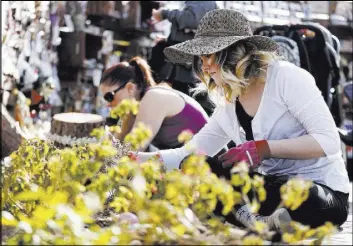  ?? Andrea Cornejo Las Vegas Review-Journal @DreaCornej­o ?? Las Vegan Ardennes Vickery, 22, was one of some 250 volunteer daffodil planters Saturday at the Community Healing Garden memorial.