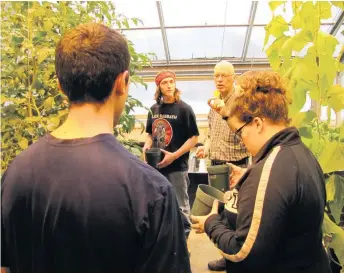  ??  ?? Des étudiants cultivent des tomates et des concombres de serre sous éclairage artificiel et sans pesticides.