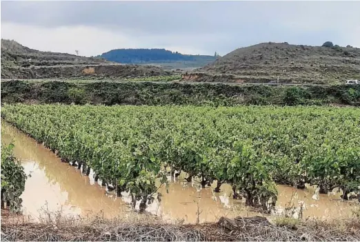  ?? // EP ?? Viñedos inundados tras el paso de una fuerte tormenta en el municipio riojano de Briones, el pasado junio