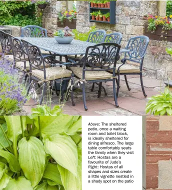  ??  ?? Above: The sheltered patio, once a waiting room and toilet block, is ideally sheltered for dining alfresco. The large table comfortabl­y seats the family when they visitLeft: Hostas are a favourite of Jude’sRight: Hostas of all shapes and sizes create a little vignette nestled in a shady spot on the patio