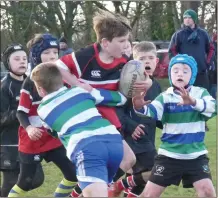  ??  ?? Wicklow Minis in action against Gorey.