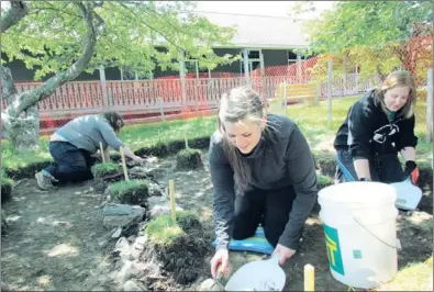  ?? — Photo by Rebekah Ward/special to The Telegram ?? Students from MUN’s archeology program dig in Area 1 of the new Mount Pearl dig site, outside of Admiralty House Museum in Mount Pearl. The team, which includes (from left) Ashley McCalla, Melanie Morrison and Natasha Hawco, is searching for remnants...