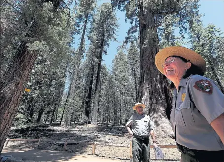  ?? ARIC CRABB — STAFF PHOTOGRAPH­ER ?? Sue Beatty, right, a National Park Service restoratio­n ecologist, walks through Yosemite’s Mariposa Grove. The sequoia grove is set to reopen Friday.