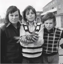  ?? www. hepworth wakefield.org ?? ‘Modern Nature: British Photograph­s from the Hyman Collection’ runs at The Hepworth Wakefield in Yorkshire until 22 April 2019. For details visit National Portrait (Three Boys and a Pigeon) 1974