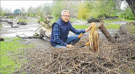  ?? BILD: GABRIELE BODE ?? Udo Hilfers von der Berner Storchenst­ation beim Aufräumen eines der kleineren Nester, die Sturmtief Xavier mitsamt dem Ast zu Boden gefegt hat.