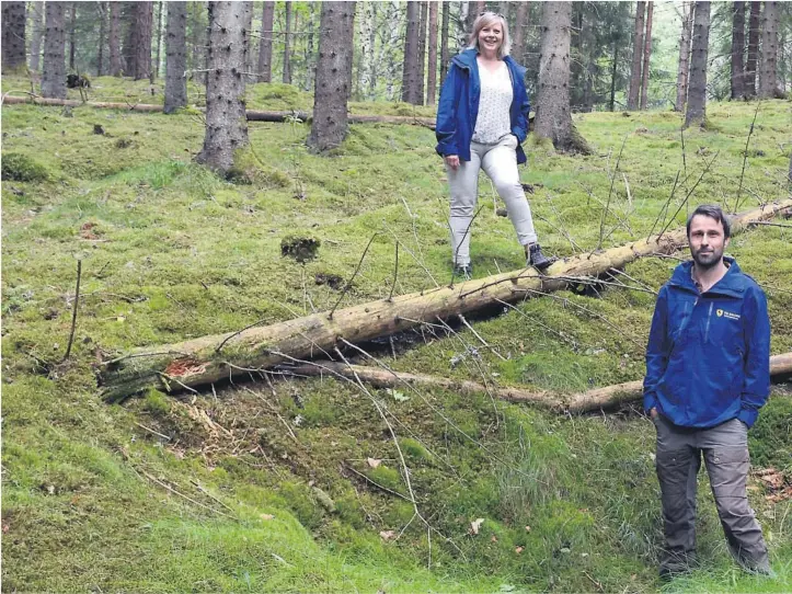  ??  ?? JAKTFELLE: Prosjektle­der og arkeolog Frode Svendsen har plassert seg midt i en fangstgrop for elg. Like bak Line Grindkåsa, funnansvar­lig ved Kulturminn­eavdeling til Telemark fylkeskomm­une, er det en til. – Det er bare registrert to slike i lavlandet i...