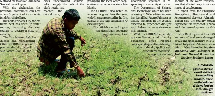  ??  ?? ALTHOUGH patches of green are still visible in farms in Albay province, cracks on the soil start to worry farmers as the drought continues.