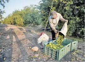  ??  ?? Se imponen medidas no arancelari­as para proteger el medio ambiente.