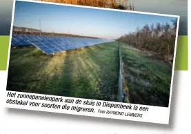  ?? Foto RAYMOND
LEMMENS ?? Het zonnepanel­enpark
aan de sluis in obstakel voor soorten die Diepenbeek is
migreren. een