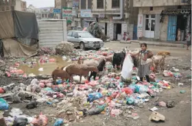  ?? Hani Mohammed / Associated Press ?? A girl scavenges at a garbage dump in a street in the capital, Sanaa. About two-thirds of Yemen’s 28 million inhabitant­s rely on imported supplies.