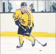  ?? Michelle Jay / NWHL / Contribute­d Photo ?? Boston Pride defender Briana Mastel during a game in Boston in 2019.
