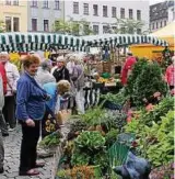  ??  ?? Gärtnermar­kttage im vorigen Jahr auf dem Marktplatz in Gera. Archivfoto: Marcel Hilbert