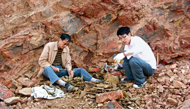  ??  ?? 昆明东郊寒武系第3阶­小石坝剖面化石发掘现­场。左：杨杰老师；右：兰天博士