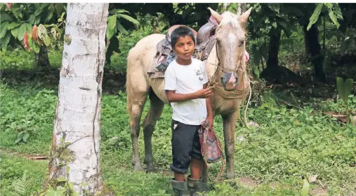  ?? FOTOS (2): WIN SCHUMACHER ?? Im Alltag der Bribri-Indianer an der Grenze zu Panama spielen Pferde eine besondere Rolle.