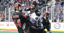  ?? CANDICE WARD/CALGARY ROUGHNECKS ?? The Roughnecks pummelled the Vancouver Stealth 20-12 on Friday night at the Scotiabank Saddledome.
