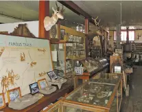  ??  ?? ABOVE: Folsom Museum contains exhibits from a historic 1908 find that later revealed ancient humans were in North America long before previously believed.