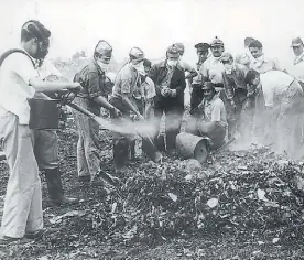  ?? ?? Otros tiempos. Fumigación en Lomas de Zamora por la polio, en 1956.