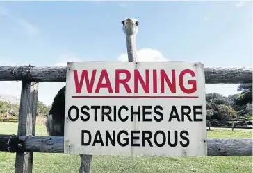  ?? Picture: ESA ALEXANDER ?? MUTUAL FEARS: A sign meant for tourists at an ostrich farm near Cape Town