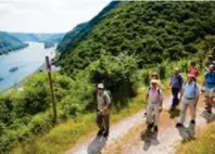  ?? Foto: Thomas Frey ?? Hoch über dem Rheintal ist man auf der Traumschle­ife Rheingold bei Hirzenach unterwegs.