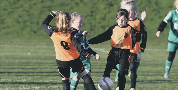  ??  ?? Russell Foster action at East Durham College, Peterlee with Washington Juniors U8s (orange/black) and Easington AFC U8s (green).