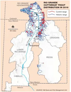  ?? CATHRYN CUNNINGHAM/JOURNAL ?? The current range of the Rio Grande cutthroat trout, in red, is about 10% of its historic range, in blue.