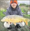  ??  ?? A stunning winter carp