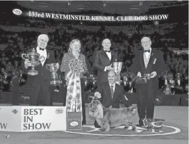  ?? PROVIDED BY WESTMINSTE­R KENNEL CLUB ?? CH Clussexx Three D Grinchy Glee, better known as Stump, won the coveted Best in Show title in the 2009 Westminste­r Kennel Club Dog Show in New York.