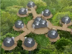  ??  ?? ‘Tree domes’ can be elevated on steel legs and covered in foliage to blend into forest environmen­ts