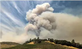  ?? Photograph: Noah Berger/AP ?? A plume rises over a vineyard in Napa county, California, as the Hennessey fire burns in August.