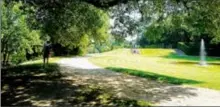  ?? ?? Jeux d’ombres et de fraicheur, le Labyrinthe de Merville vous propose de découvrir en avant première quelques réalisatio­ns photograph­iques