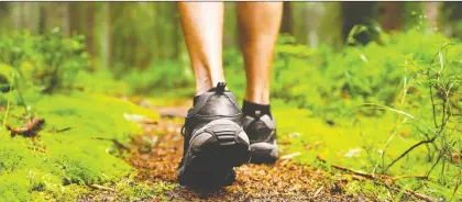  ?? Getty Images/istock Photo ?? Torbjørn Ekelund’s In Praise of Paths has an explanatio­n for why, when we’re lost in the forest, we tend to walk in a circle.