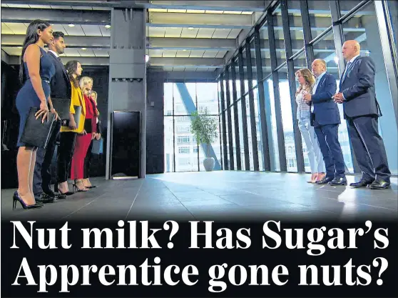  ??  ?? MAKING THEIR PITCH: The Apprentice candidates face a grilling on their business plans from Karren Brady, Alan Sugar and Claude Littner