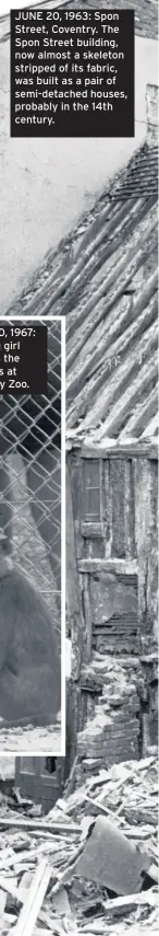  ??  ?? JUNE 20, 1963: Spon Street, Coventry. The Spon Street building, now almost a skeleton stripped of its fabric, was built as a pair of semi-detached houses, probably in the 14th century.
JUNE 20, 1967: A young girl watches the monkeys at Coventry Zoo.